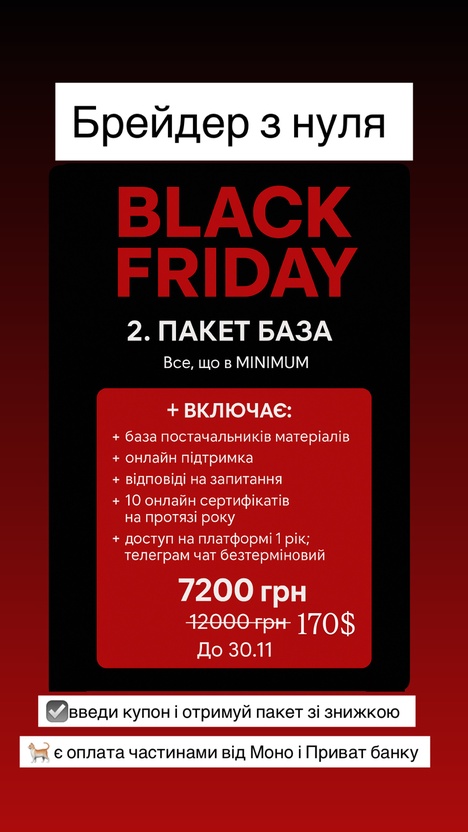 Пакет BASE онлайн "Брейдер з нуля"