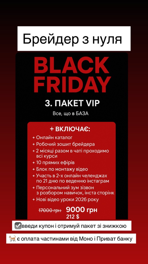 Пакет VIP онлайн курс «Брейдер з нуля»